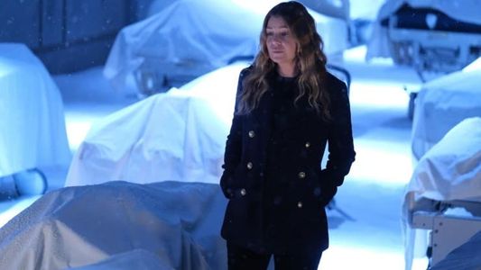 Greys Anatomy Temporada 18: vuelve un viejo amor de Meredith