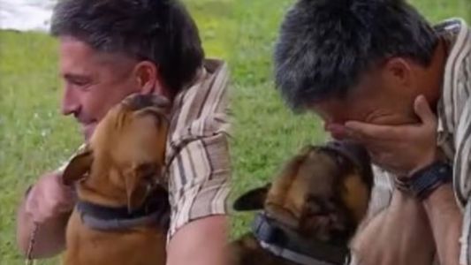 Gran Hermano: el problema de salud de los perritos de Juan Pablo que preocupó a todos