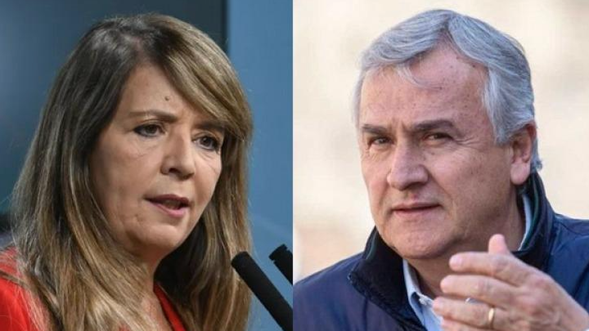 Gabriela Cerruti acusó a Gerardo Morales de difundir fotos falsas sobre los incidentes en Jujuy. (Captura)