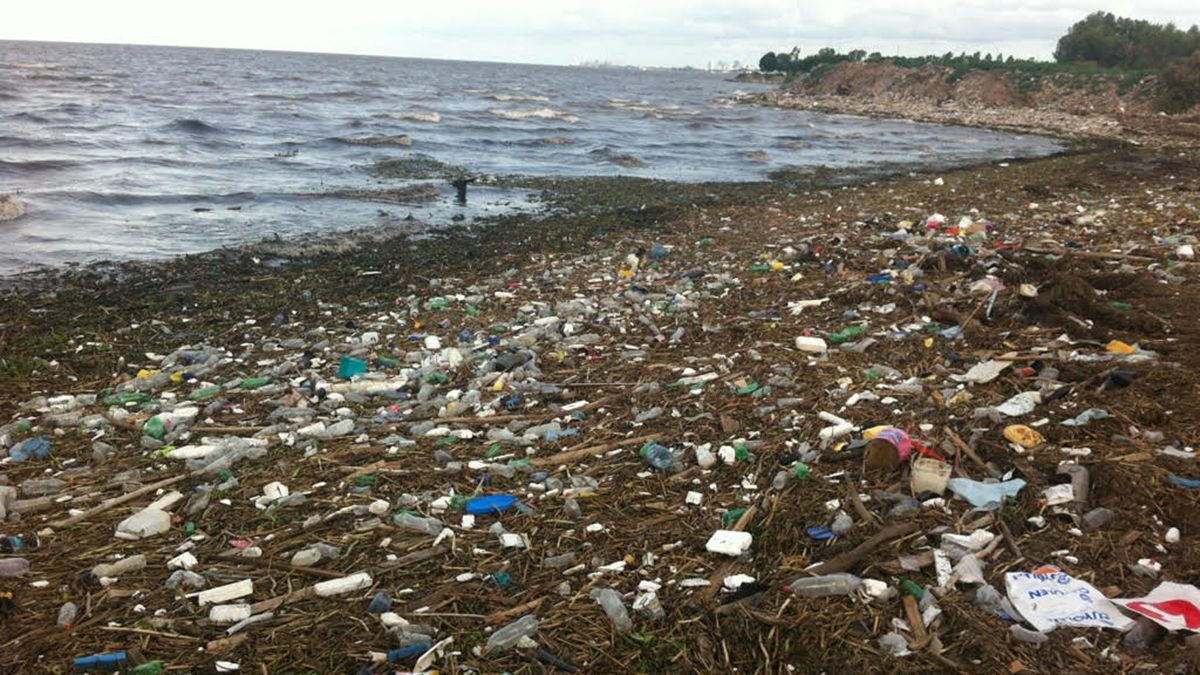 Microplásticos en el Mar Argentino