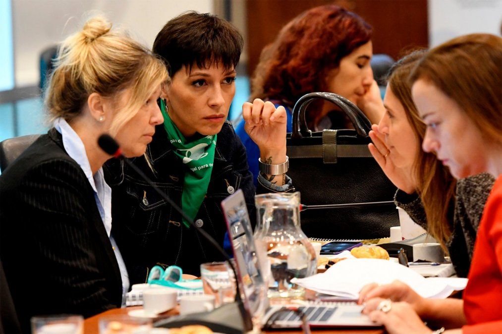 Aborto: la pelea es voto a voto, en la última semana de expositores a favor y en contra de la legalización