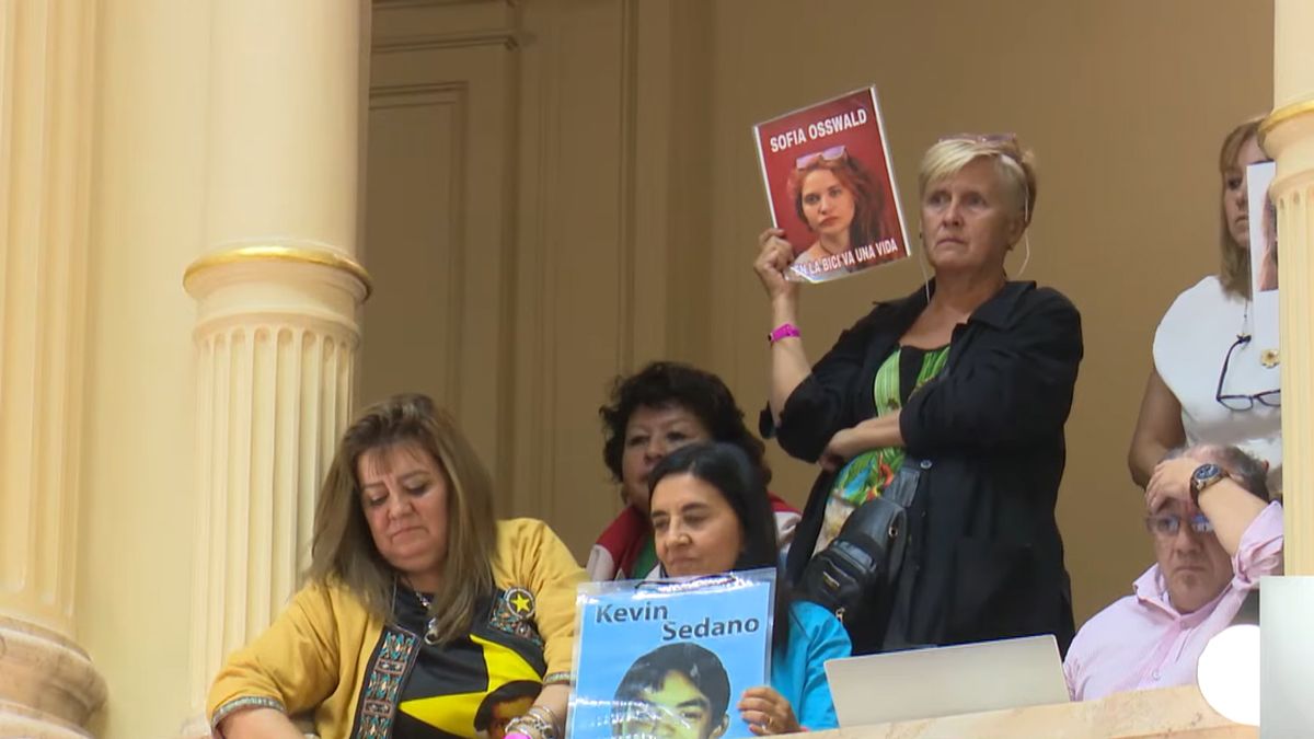 El Senado convirtió en ley el alcohol cero para todo el país. (Foto: Senado TV)