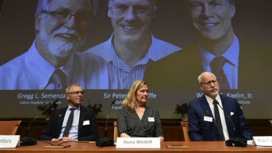 Nobel de Medicina 2019: premian a tres científicos por investigaciones clave para tratamientos contra la anemia y cáncer