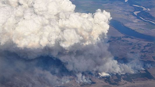 Incendios en Corrientes: ¿de cuánto es la perdida millonaria y cuáles son las medidas anunciadas por el Gobierno para asistir a los afectados?