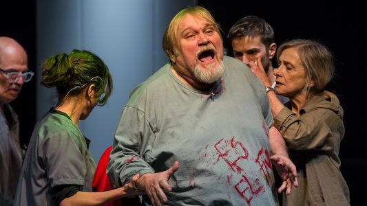 Personas, lugares & cosas se presenta en el Teatro Sarmiento