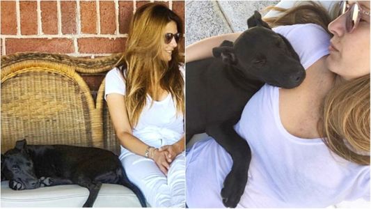 La feliz noticia para Isabel Macedo tras la pérdida de su perrita Cholita