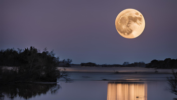 ASTROLOGÍA: descubrí la influencia de la LUNA LLENA de ENERO en tu vida, signo por signo