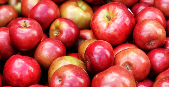 Por mayor control sanitario, disminuyen los problemas en los envíos de peras y manzanas a Brasil