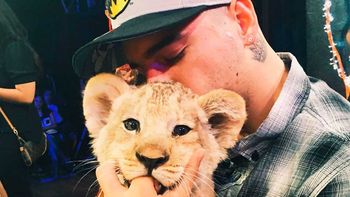 Maluma enojado: Por qué hay gente tan estúpida, se preguntó y se fue de Instagram