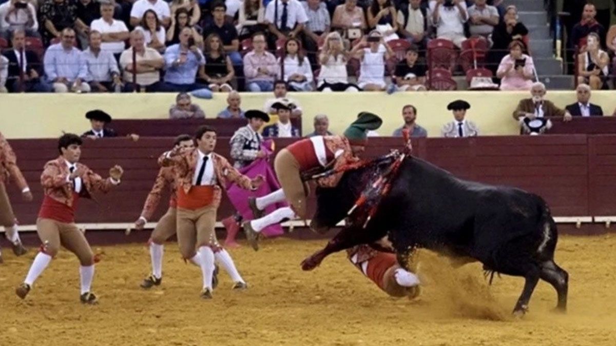 El momento en que el toro embiste al torero de solo 22 años. Murió poco después por la gravedad de las heridas. (foto: Gentileza R3)