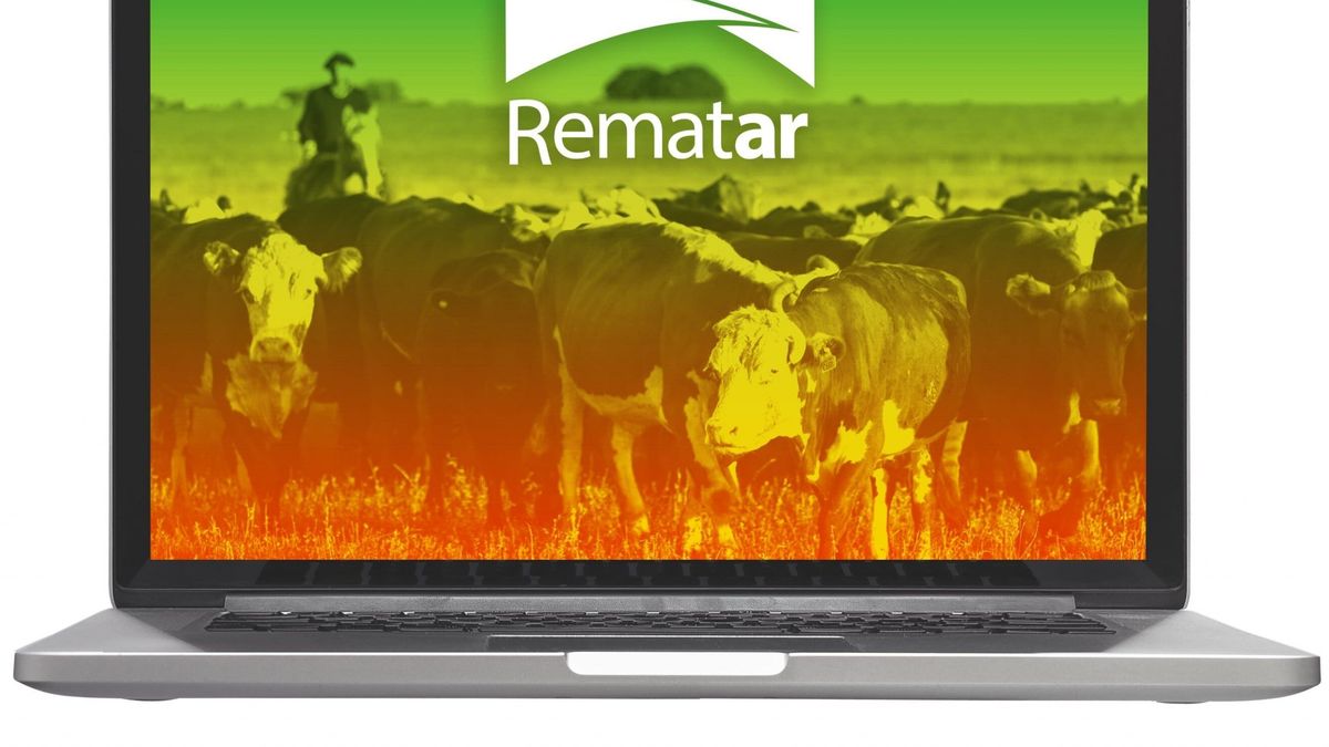 Las subastas on line de hacienda serán instrumentadas a través de 