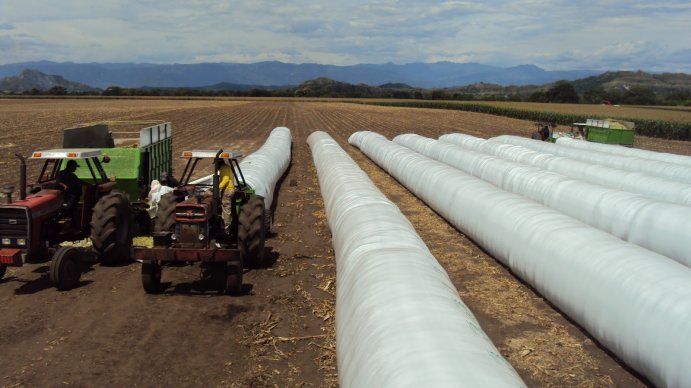 El futuro del dólar: las decisiones de los productores agropecuarios restan poder de fuego al Banco Central