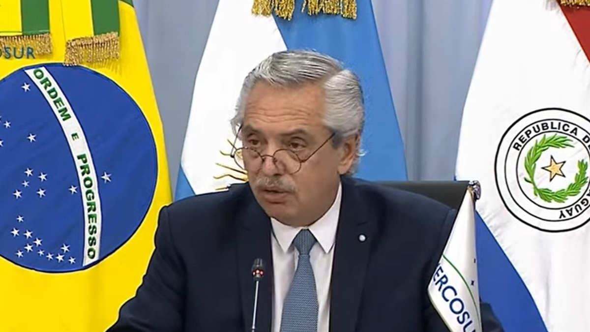 Alberto Fern&aacute;ndez durante su discurso (Foto: captura de video)