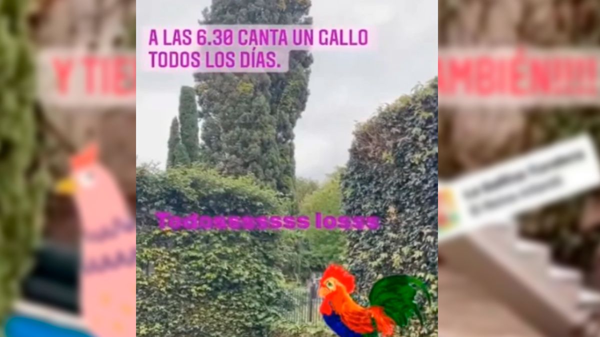 En las redes: la queja de Jorge Rial contra sus vecinos.