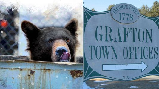 Javier Milei, en el espejo: la historia del único experimento libertario del mundo y su trágico final