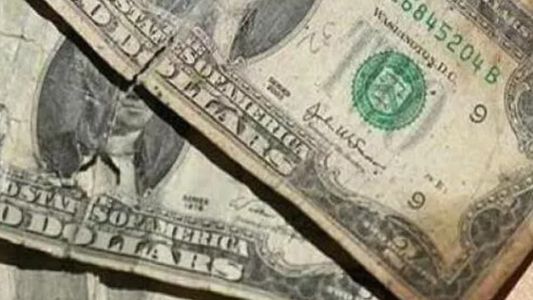 Dólares manchados o rotos: qué hacer con estos billetes