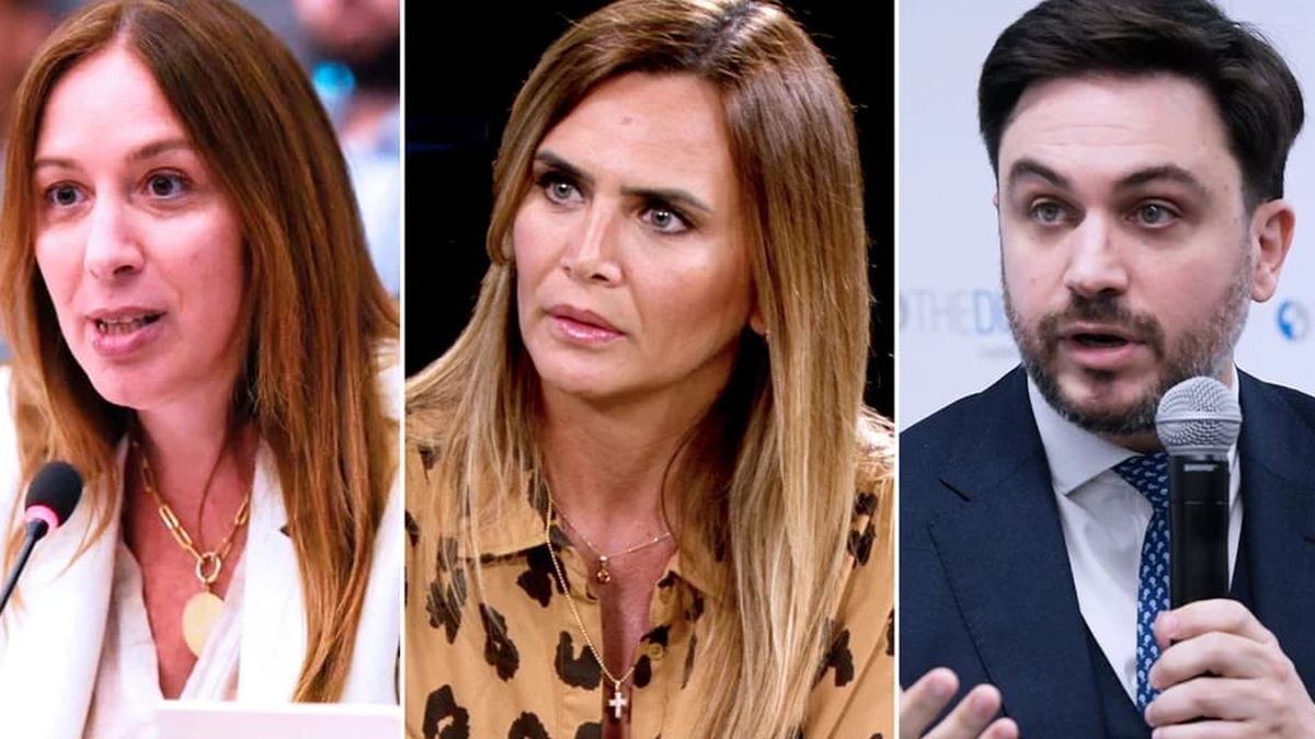 Cómo reaccionó la política tras la denuncia contra Alberto Fernández. (Foto: Infobae)