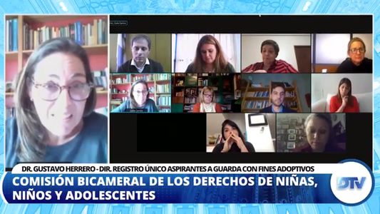 Diputados analizó los sistemas de adopción