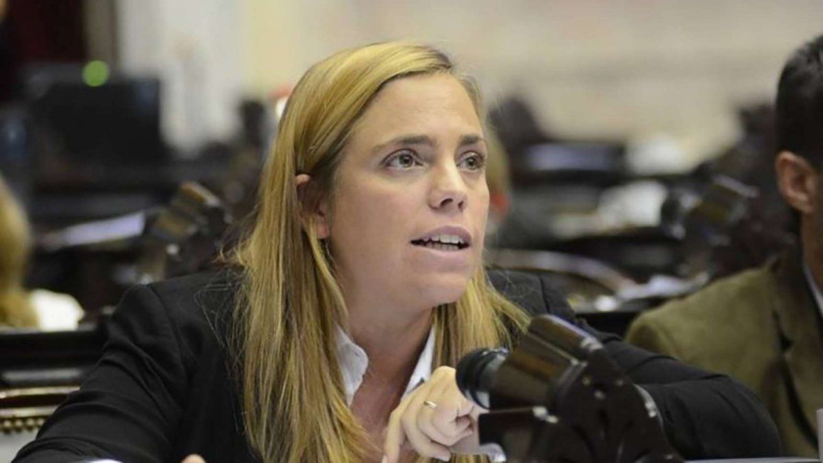 Una diputada kirchnerista pidió que Macri dé un paso al costado
