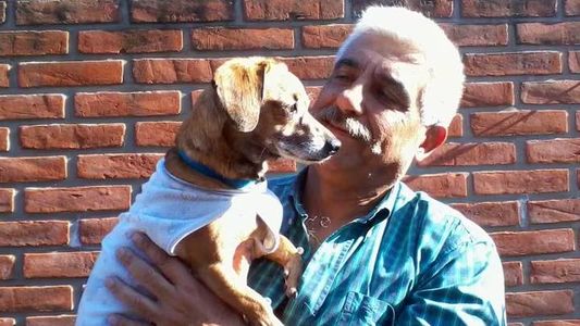 Autopsia: se conocieron los terribles motivos que llevaron a la muerte al empresario de San Isidro