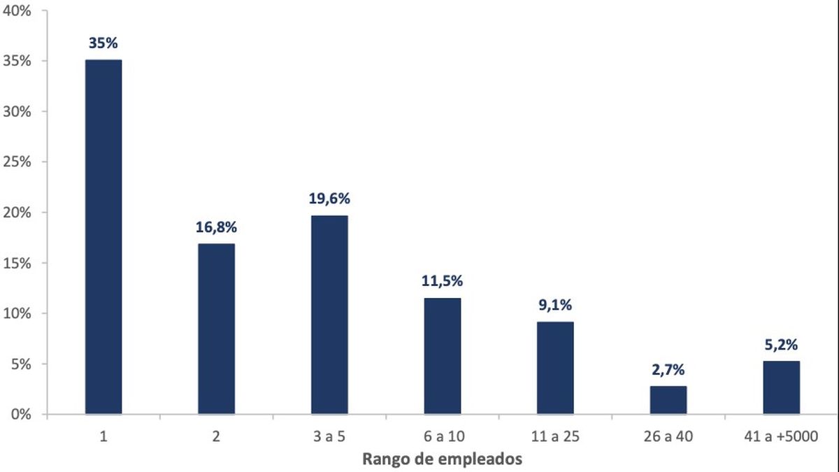 Gr&aacute;fico 3: Empresas seg&uacute;n cantidad de empleados declarados. (Fuente: IIE/BCC sobre la base de Superintendencia de Riesgos del Trabajo de la Naci&oacute;n).