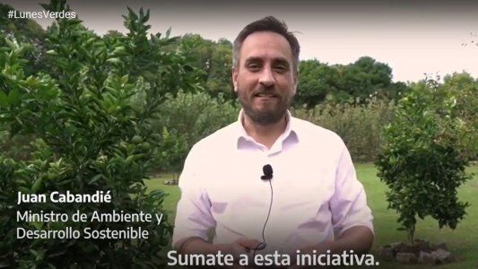 Investigador del Conicet sale al cruce de Cabandié por la campaña contra las carnes