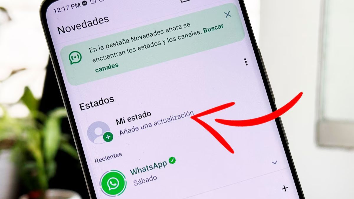 Etiquetas privadas en WhatsApp: cómo usar la nueva función de menciones en estados.