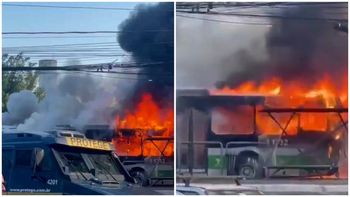 Tragedia en San Pablo: una avioneta se estrelló sobre un colectivo y desató el horror