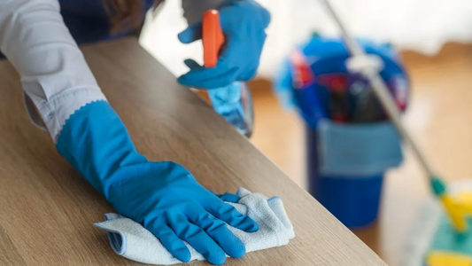 NOVEDAD para EMPLEADAS DOMÉSTICAS: el Gobierno le puso fin a este beneficio