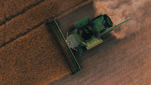 Mercados y liquidación de divisas: nada es lo que parece