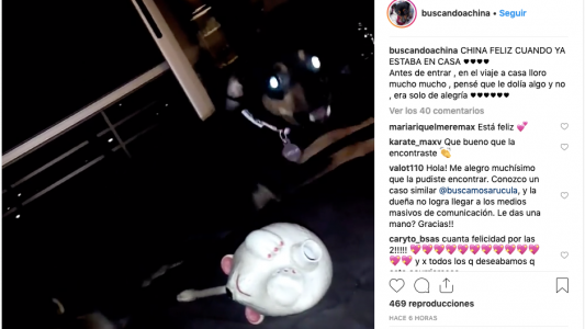 Volvió a su casa: la emoción de la joven que pagó 30.000 pesos de recompensa para recuperar a su perra