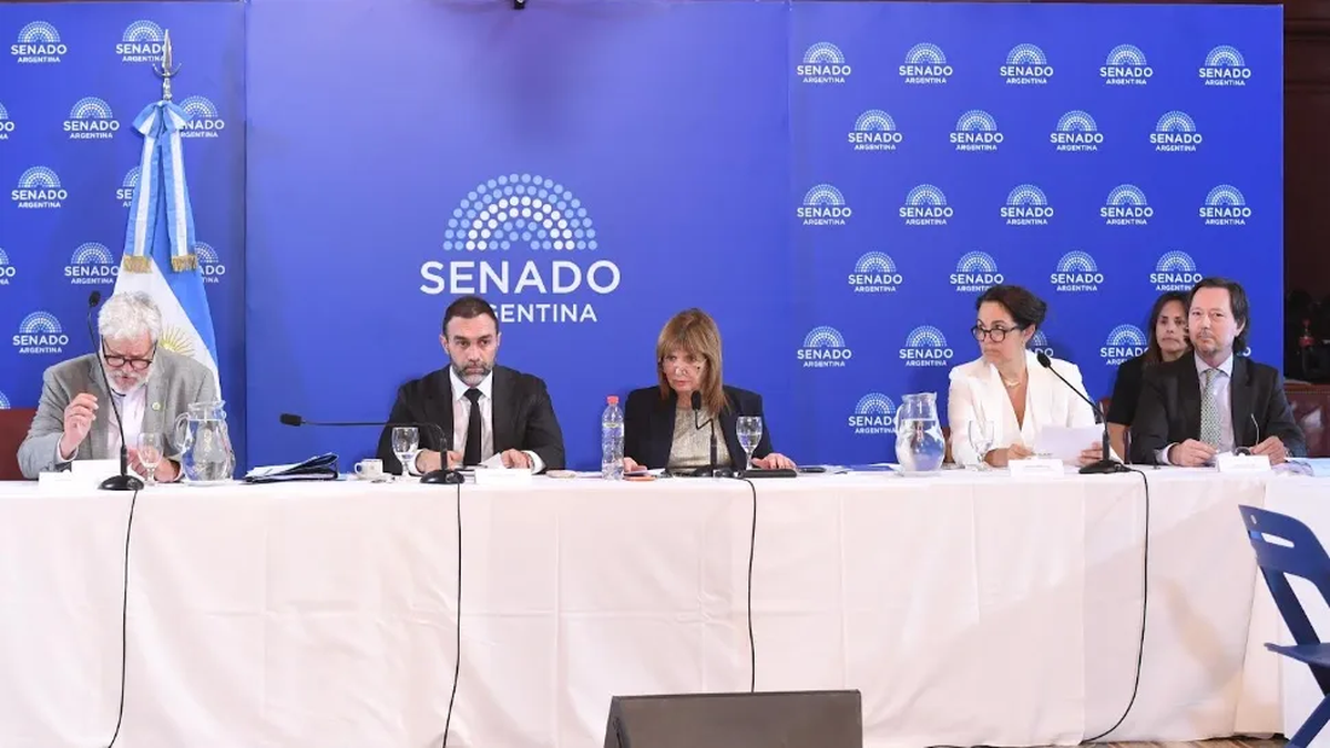 a Comisión de Trabajo del Senado debate la reforma laboral
