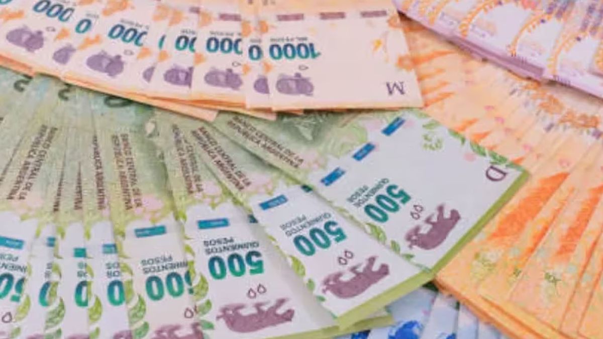 NUEVA TASA de interés para el PLAZO FIJO: cuánto gano depositando $200 mil (Foto: archivo)