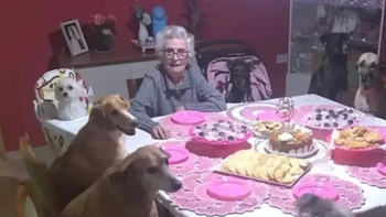 Video: la emocionante fiesta de cumpleaños de una abuela de 89 años y sus 10 perros