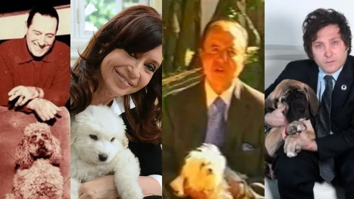 De Los Caniches De Perón A Los Mastines De Milei Los Perros Que