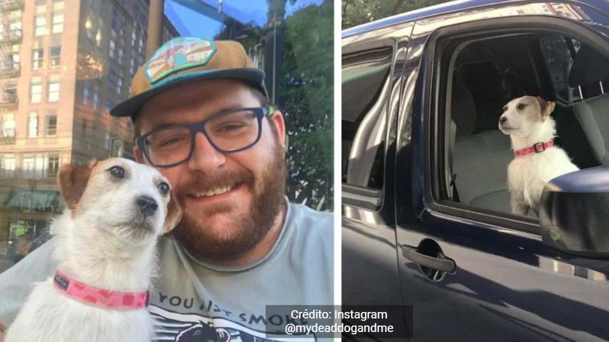 Viral: El hombre que viaja con su perra disecada