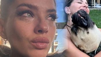 El dramático episodio que se vivió con el perro de la China Suárez en Nordelta: la foto