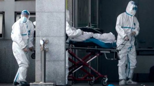 Pánico sanitario en Argentina: confirman caso de hantavirus, se activa aislamiento y cuarente por temor a contagios