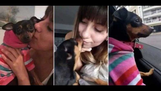 Ofrece $30 mil y un auto como recompensa por su perra perdida