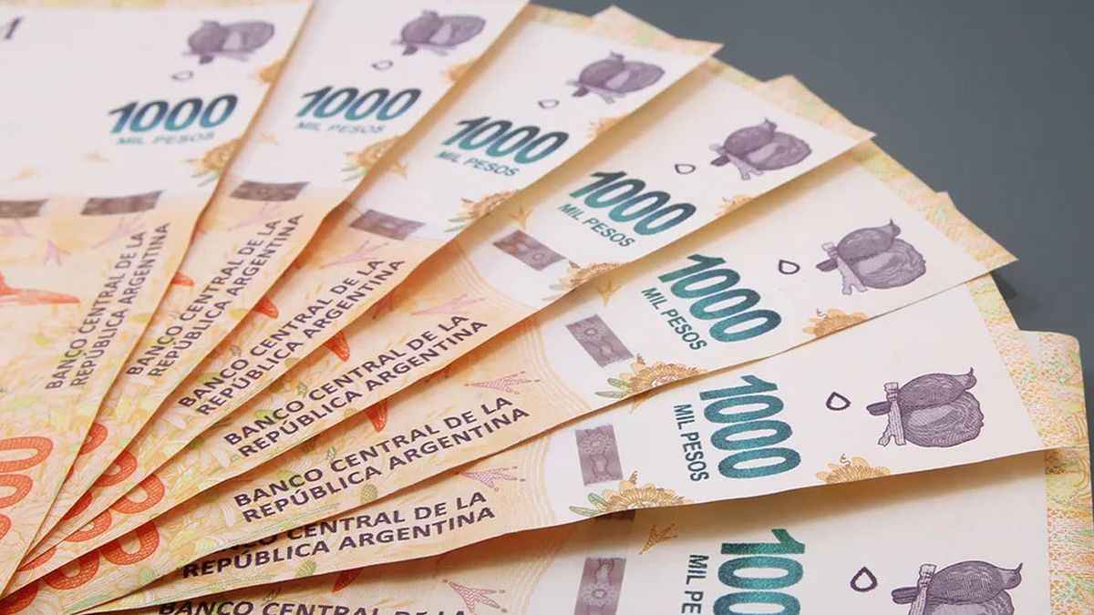 PLAZO FIJO en la era Milei: cuánto gano depositando $200 mil por mes con la nueva tasa (Foto: archivo)