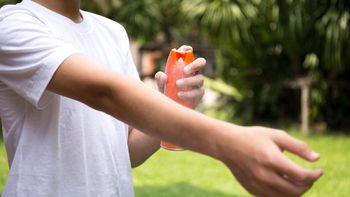 El Gobierno abrió la importación de repelentes por el brote histórico de dengue. (Foto: archivo) El Gobierno abrió la importación de repelentes por el brote histórico de dengue. (Foto: archivo)