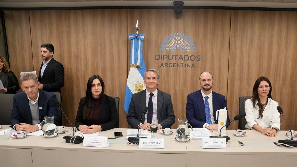 El Gobierno acordó con sus aliados restablecer las restricciones a la compra de tierras por parte de extranjeros y consiguió dictamen para la Ley de Inviolabilidad de la Propiedad Privada en Diputados. (Foto: Diputados).
