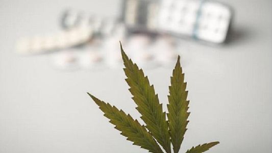 En Estados Unidos se venden supositorios vaginales de marihuana para el dolor menstrual