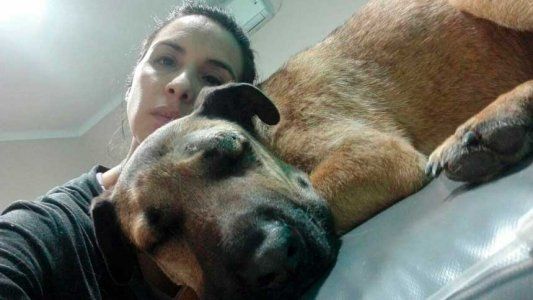 La historia de Simón, el perro que salvó a tres niños de ser mordidos por una yarará