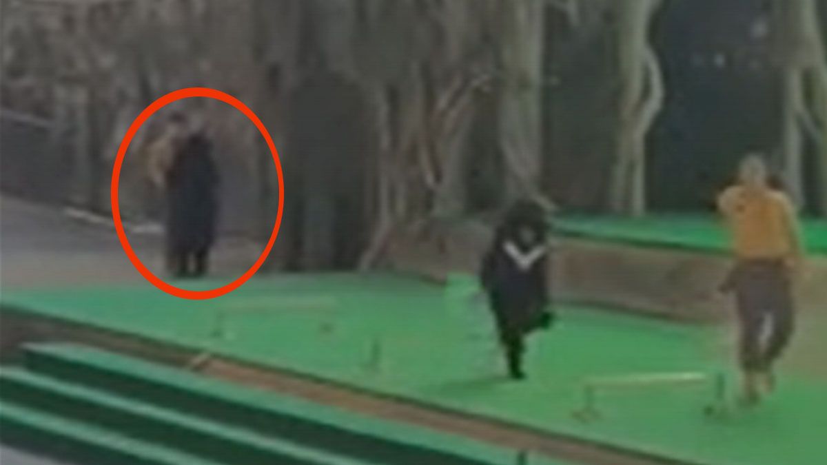 El instante en que el oso ataca a su cuidador en un parque chino. (foto: Captura de TV)
