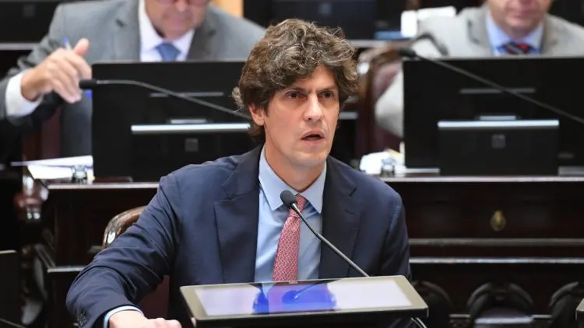Martín Lousteau logró ingresar al Congreso tras el recuento definitivo de los votos. (Foto: archivo)