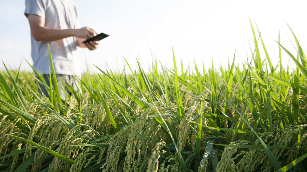 La red social de los productores agropecuarios ya tiene miles de seguidores.