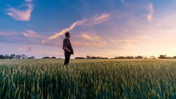 La desverticalización del agro, otra mirada de la caída de las explotaciones agropecuarias