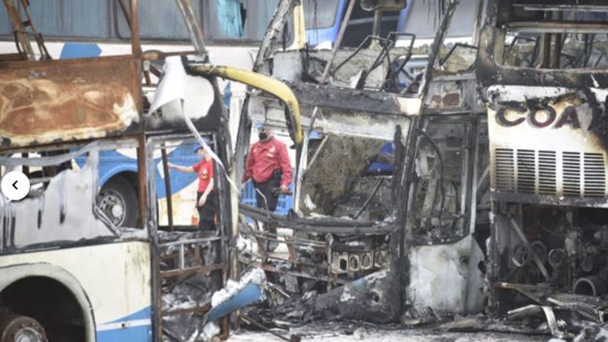 28 micros de la compañía de transporte Flecha Bus sufrieron daños tras un voraz incendio en la base de la empresa en Córdoba. (Foto: La Voz)