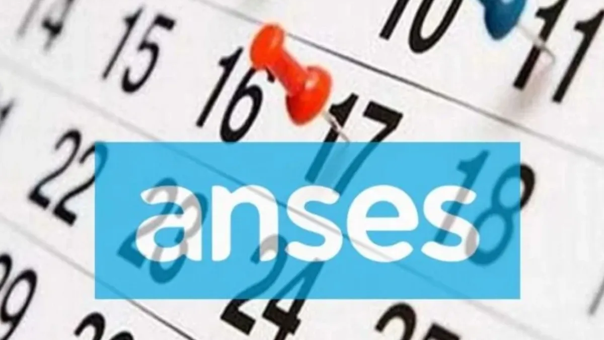 Beneficios ANSES 2024: c&oacute;mo acceder&nbsp;